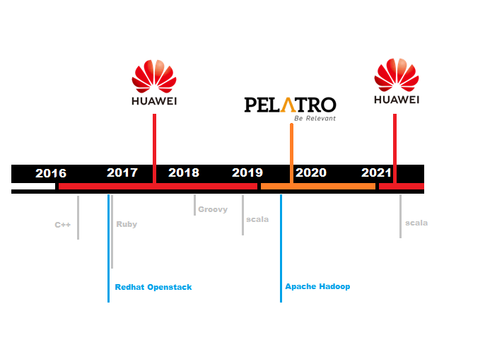 Career Timeline